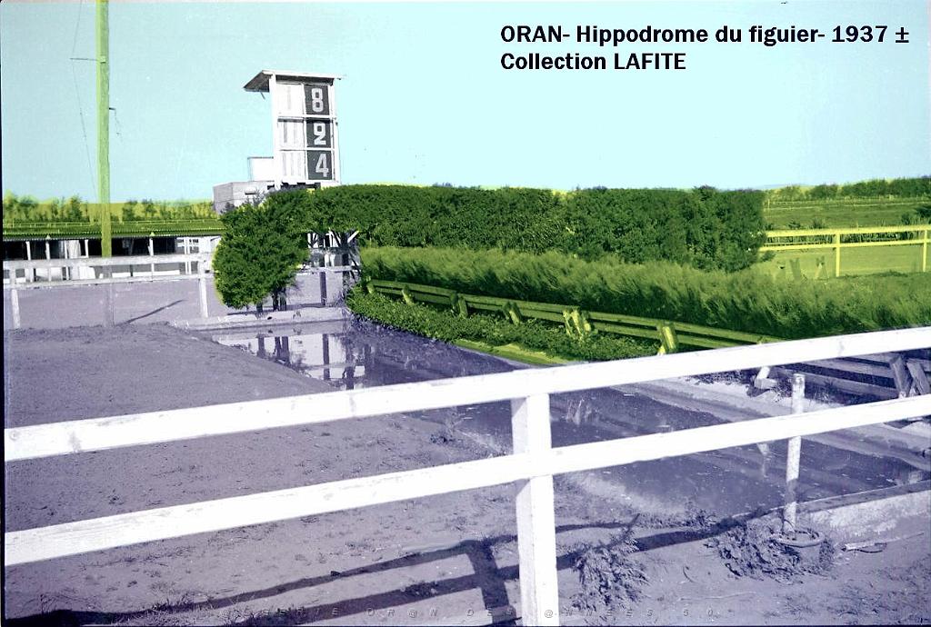 Oran- Le figuier 25a.jpg